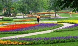 长春百花园爆料最新消息